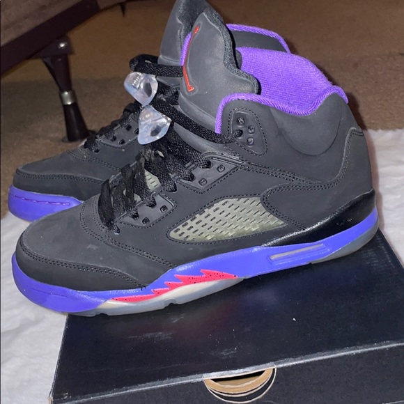 Raptor 5 - Picture 3 of 5